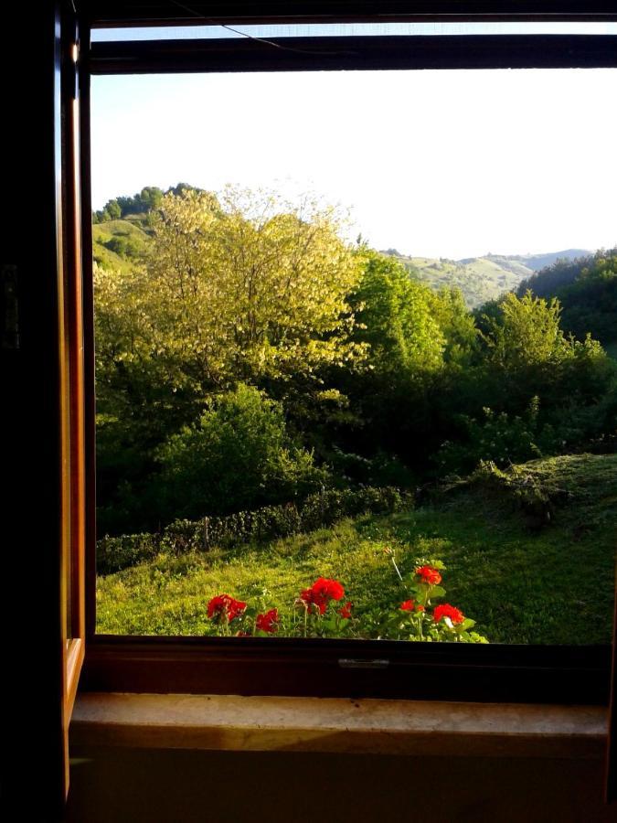 Agriturismo Il Casale Pica Posta Экстерьер фото